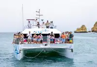 قارب مزدوج الهيكل للبيع