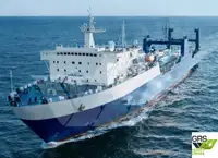 Ro-Ro ship للبيع