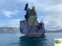 Ro-Ro ship للبيع