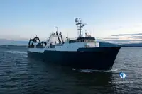 Trawler للبيع