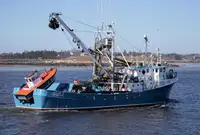 Purse seiner للبيع