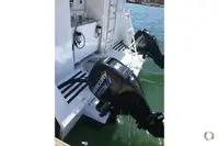 قارب مزدوج الهيكل للبيع