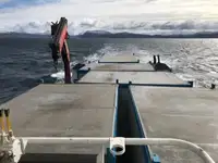 قوارب العمل للبيع