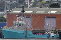 Trawler للبيع