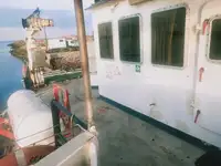 سفينة إنزال، ناقلة للبيع