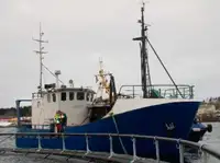 Trawler للبيع