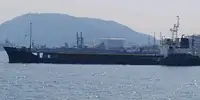 الناقل السائبة للبيع