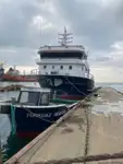 Purse seiner للبيع