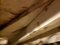 سفينة عبّارة للبيع