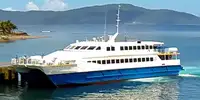 قارب مزدوج الهيكل للبيع