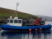 زوارق العمل للبيع