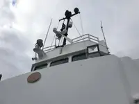 قوارب العمل للبيع