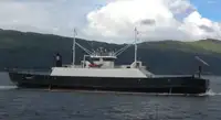 سفينة نقل بضائع بالمركبات (Ro-Ro) للبيع