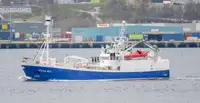 Purse seiner للبيع