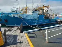 Trawler للبيع