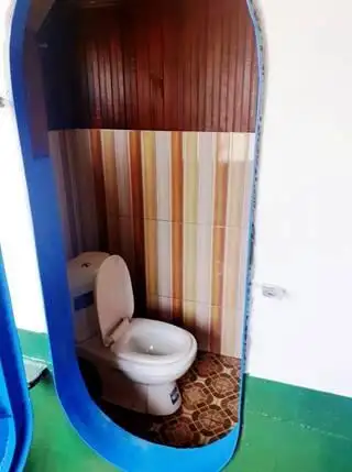 سفينة إنزال، ناقلة للبيع