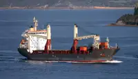 الناقل السائبة للبيع