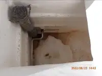 سفينة صيد بالشبكة المحيطة للبيع
