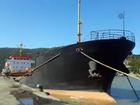 الناقل السائبة للبيع