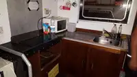 قارب مزدوج الهيكل للبيع