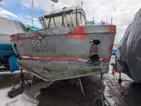 قوارب العمل للبيع