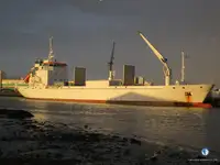 السفينة المبردة للبيع