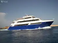 دعم الغوص للبيع