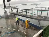 قوارب العمل للبيع