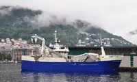 Purse seiner للبيع