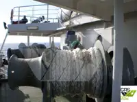 سفينة نقل بضائع بالمركبات (Ro-Ro) للبيع