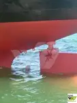 سفينة نقل بضائع سائبة للبيع