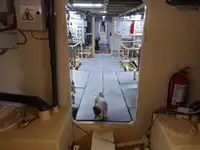 General Cargo/Multi-purpose للبيع