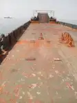 الناقل السائبة للبيع