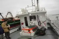 قارب طيار للبيع