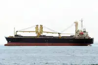 الناقل السائبة للبيع