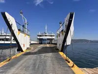 سفينة إنزال، ناقلة للبيع