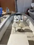 قوارب العمل للبيع