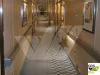 سفينة سياحية للبيع