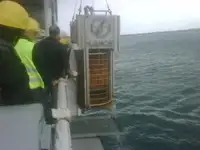 قوارب العمل للبيع