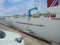 زورق دورية للبيع