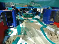 Trawler للبيع