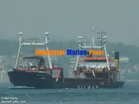 سفينة نقل بضائع سائبة للبيع