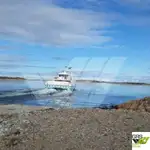 سفينة نقل بضائع بالمركبات (Ro-Ro) للبيع
