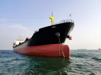 الناقل السائبة للبيع