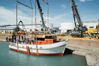 Trawler للبيع