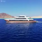 دعم الغوص للبيع