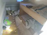 قوارب العمل للبيع