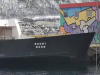 سفينة نقل بضائع بالمركبات (Ro-Ro) للبيع