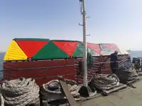 الناقل السائبة للبيع