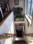 Ro-Ro ship للبيع